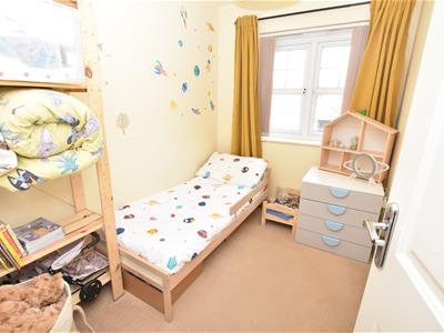 Picture 15